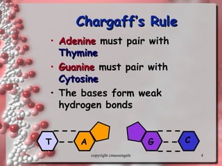 4
Chargaff’s RuleChargaff’s Rule
• AdenineAdenine must pair with
ThymineThymine
• GuanineGuanine must pair with
CytosineCytosine
• The bases form weak
hydrogen bonds
G CT A
copyright cmassengale
 