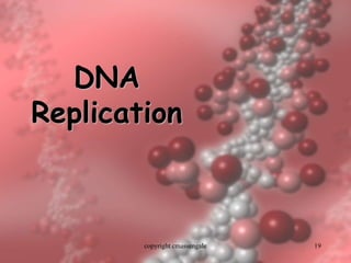 19
DNA
Replication
copyright cmassengale
 