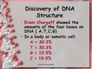 3
Discovery of DNA
Structure
• Erwin Chargaff showed the
amounts of the four bases on
DNA ( A,T,C,G)
• In a body or somatic cell:
A = 30.3%
T = 30.3%
G = 19.5%
C = 19.9%
copyright cmassengale
 