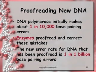 35
Proofreading New DNA
• DNA polymerase initially makes
about 1 in 10,000 base pairing
errors
• Enzymes proofread and correct
these mistakes
• The new error rate for DNA that
has been proofread is 1 in 1 billion
base pairing errors
copyright cmassengale
 