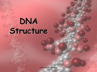 5
DNA
Structure
copyright cmassengale
 