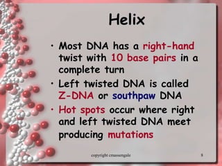 8
Helix
• Most DNA has a right-hand
twist with 10 base pairs in a
complete turn
• Left twisted DNA is called
Z-DNA or southpaw DNA
• Hot spots occur where right
and left twisted DNA meet
producing mutations
copyright cmassengale
 