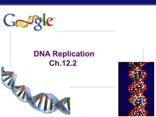 AP Biology 2007-2008
DNA Replication
Ch.12.2
 