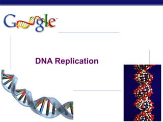 AP Biology 2007-2008
DNA Replication
 