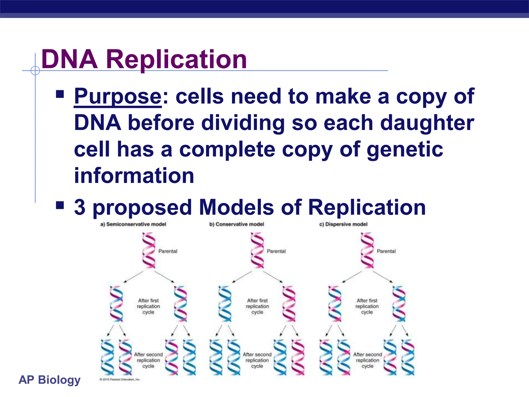 DNA Replication In Prokaryotes And Eukaryotes PPT Dna replication in prokaryotes and eukaryotes ppt