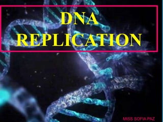 DNA
REPLICATION
MISS SOFIA PAZ
 