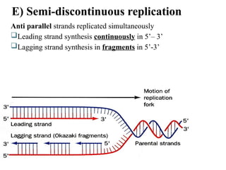 DNA replication 4.1.pptxfgfhgvghgjdsgfcvcvbhg | PPTX