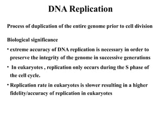 DNA replication 4.1.pptxfgfhgvghgjdsgfcvcvbhg | PPTX