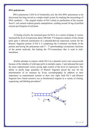 Dna replication and importance of its inhibition pdf | PDF
