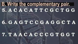 DNA Replication and Protein Synthesis.pdf