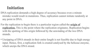 Initiation
DNA replication demands a high degree of accuracy because even a minute
mistake would result in mutations. Thus, replication cannot initiate randomly at
any point in DNA.
For the replication to begin there is a particular region called the origin of
replication. This is the point where the replication originates. Replication begins
with the spotting of this origin followed by the unwinding of the two DNA
strands.
• Unzipping of DNA strands in their entire length is not feasible due to high energy
input. Hence, first, a replication fork is created catalysed by the helicase enzyme,
which unzips the DNA strand.
 