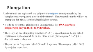 Elongation
As the strands are separated, the polymerase enzymes start synthesising the
complementary sequence in each of the strands. The parental strands will act as
a template for newly synthesizing daughter strands.
• It is to be noted that elongation is unidirectional i.e. DNA is always
polymerized only in the 5′ to 3′ direction.
• Therefore, in one strand (the template 3‘→5‘) it is continuous, hence called
continuous replication while on the other strand (the template 5‘→3‘) it is
discontinuous replication.
• They occur as fragments called Okazaki fragments. The enzyme called DNA
ligase joins them later.
 