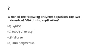 ?
Which of the following enzymes separates the two
strands of DNA during replication?
(a) Gyrase
(b) Topoisomerase
(c) Helicase
(d) DNA polymerase
 