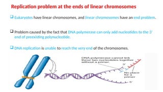 DNA replication and repair (OK) MLT Lecture.pptx