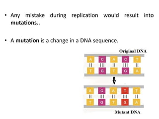 Replication Mutation DNA replication and transcription unit | PPTX