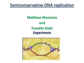Semiconservative DNA replication
Matthew Meselson
and
Franklin Stahl
Experiment
 