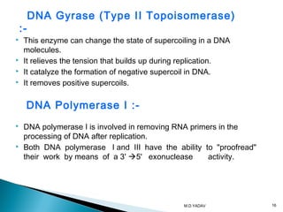  This enzyme can change the state of supercoiling in a DNA
molecules.
 It relieves the tension that builds up during replication.
 It catalyze the formation of negative supercoil in DNA.
 It removes positive supercoils.
 DNA polymerase I is involved in removing RNA primers in the
processing of DNA after replication.
 Both DNA polymerase I and III have the ability to "proofread"
their work by means of a 3' 5' exonuclease activity.
DNA Polymerase I :-
DNA Gyrase (Type II Topoisomerase)
:-
16M.D.YADAV
 