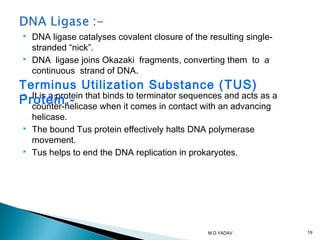  DNA ligase catalyses covalent closure of the resulting single-
stranded “nick”.
 DNA ligase joins Okazaki fragments, converting them to a
continuous strand of DNA.
 It is a protein that binds to terminator sequences and acts as a
counter-helicase when it comes in contact with an advancing
helicase.
 The bound Tus protein effectively halts DNA polymerase
movement.
 Tus helps to end the DNA replication in prokaryotes.
Terminus Utilization Substance (TUS)
Protein:-
19M.D.YADAV
 