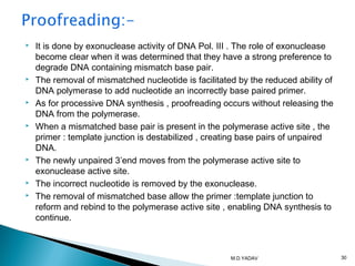  It is done by exonuclease activity of DNA Pol. III . The role of exonuclease
become clear when it was determined that they have a strong preference to
degrade DNA containing mismatch base pair.
 The removal of mismatched nucleotide is facilitated by the reduced ability of
DNA polymerase to add nucleotide an incorrectly base paired primer.
 As for processive DNA synthesis , proofreading occurs without releasing the
DNA from the polymerase.
 When a mismatched base pair is present in the polymerase active site , the
primer : template junction is destabilized , creating base pairs of unpaired
DNA.
 The newly unpaired 3’end moves from the polymerase active site to
exonuclease active site.
 The incorrect nucleotide is removed by the exonuclease.
 The removal of mismatched base allow the primer :template junction to
reform and rebind to the polymerase active site , enabling DNA synthesis to
continue.
30M.D.YADAV
 