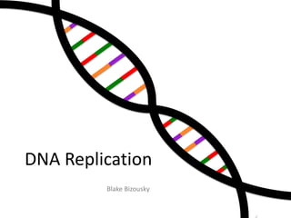 DNA Replication
Blake Bizousky

 