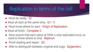 DNA Replication | PPTX