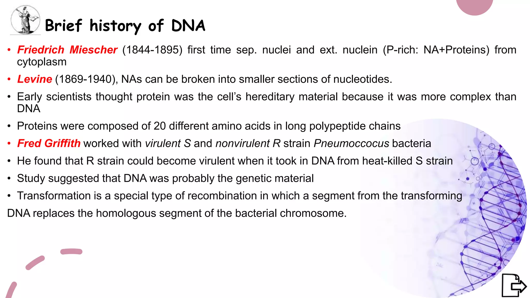 DNA replication by Dr. YALAVARTHI NAGARAJU.pptx