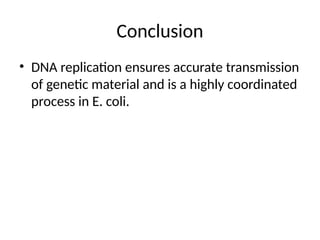 DNA_Replication_Ecoli_LightTheme444.pptx