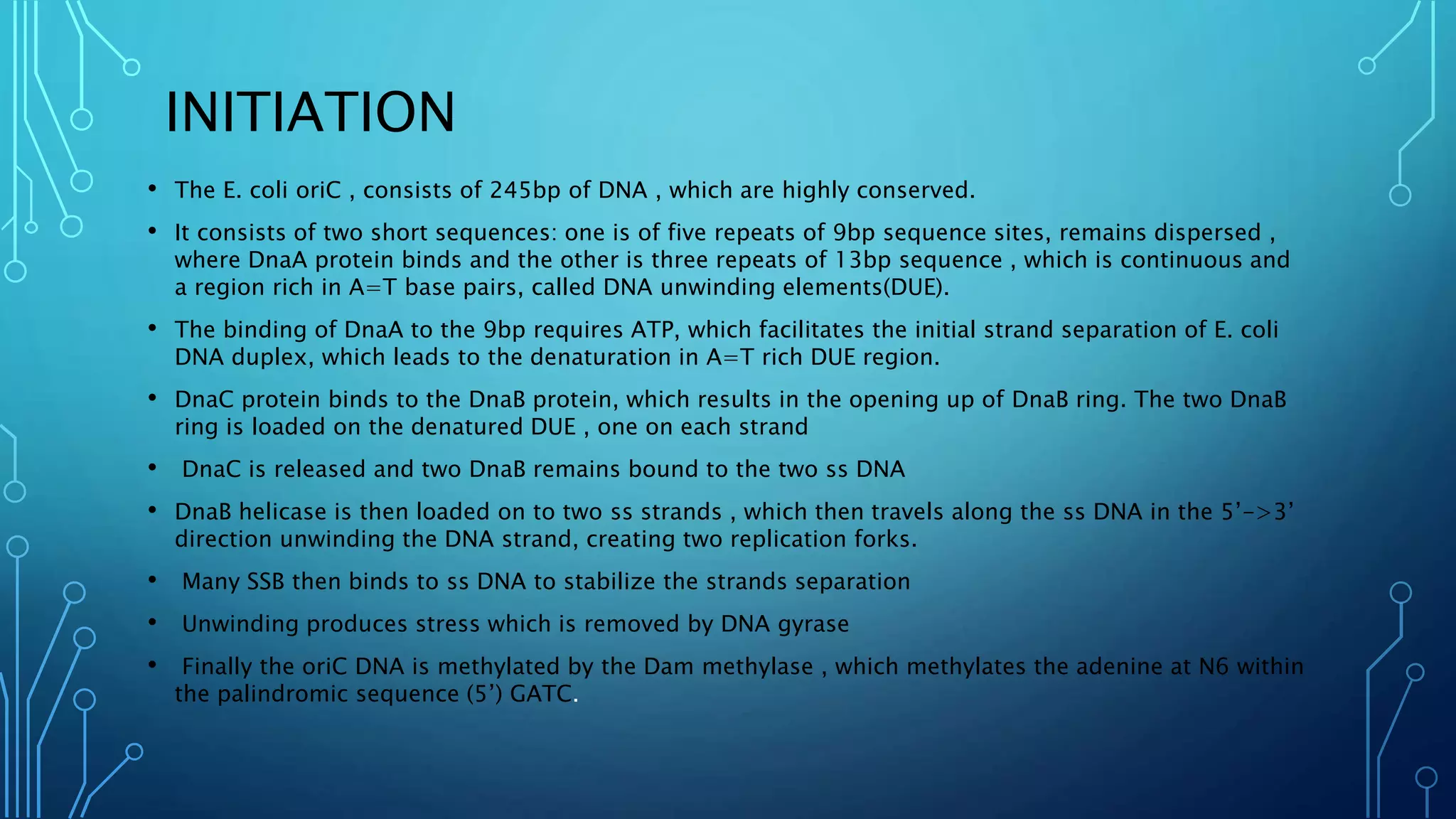 INITIATION
• The E. coli oriC , consists of 245bp of DNA , which are highly conserved.
• It consists of two short sequences: one is of five repeats of 9bp sequence sites, remains dispersed ,
where DnaA protein binds and the other is three repeats of 13bp sequence , which is continuous and
a region rich in A=T base pairs, called DNA unwinding elements(DUE).
• The binding of DnaA to the 9bp requires ATP, which facilitates the initial strand separation of E. coli
DNA duplex, which leads to the denaturation in A=T rich DUE region.
• DnaC protein binds to the DnaB protein, which results in the opening up of DnaB ring. The two DnaB
ring is loaded on the denatured DUE , one on each strand
• DnaC is released and two DnaB remains bound to the two ss DNA
• DnaB helicase is then loaded on to two ss strands , which then travels along the ss DNA in the 5’->3’
direction unwinding the DNA strand, creating two replication forks.
• Many SSB then binds to ss DNA to stabilize the strands separation
• Unwinding produces stress which is removed by DNA gyrase
• Finally the oriC DNA is methylated by the Dam methylase , which methylates the adenine at N6 within
the palindromic sequence (5’) GATC.
 