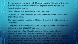 Dna replication in prokaryotes | PPTX
