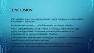 Dna replication in prokaryotes | PPTX