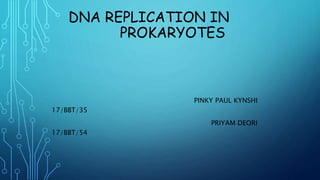 DNA REPLICATION IN
PROKARYOTES
PINKY PAUL KYNSHI
17/BBT/35
PRIYAM DEORI
17/BBT/54
 