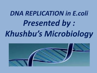 DNA REPLICATION in E.coli
Presented by :
Khushbu’s Microbiology
 