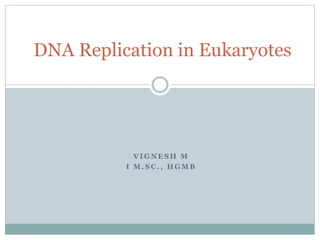 V I G N E S H M
I M . S C . , H G M B
DNA Replication in Eukaryotes
 