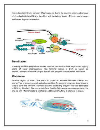 8
Nick is the discontinuity between DNA fragments due to the enzyme action and removal
of phosphodiesterbond.Nick is then filled with the help of ligase I.This process is known
as Okazaki fragment maturation.
Termination
In eukaryotes DNA polymerase cannot replicate the terminal DNA segment of lagging
strand of linear chromosomes. The terminal region of DNA is known as
telomer.Telomers must have unique features and enzymes that facilitates replication.
Mechanism
Terminal region of linear DNA which is known as telomere becomes shorter and
shorter.This is known as end replication problem.An enzyme known as telomerase is
used to solve this problem.Telomerase is RNA containing enzyme.This was discovered
in 1958 by Elizabeth Blackburn and Caral Greider.Telomerase can reverse transcribe
onto its own RNA template to synthesize additional DNA.Now 3' telomere is longer.
 