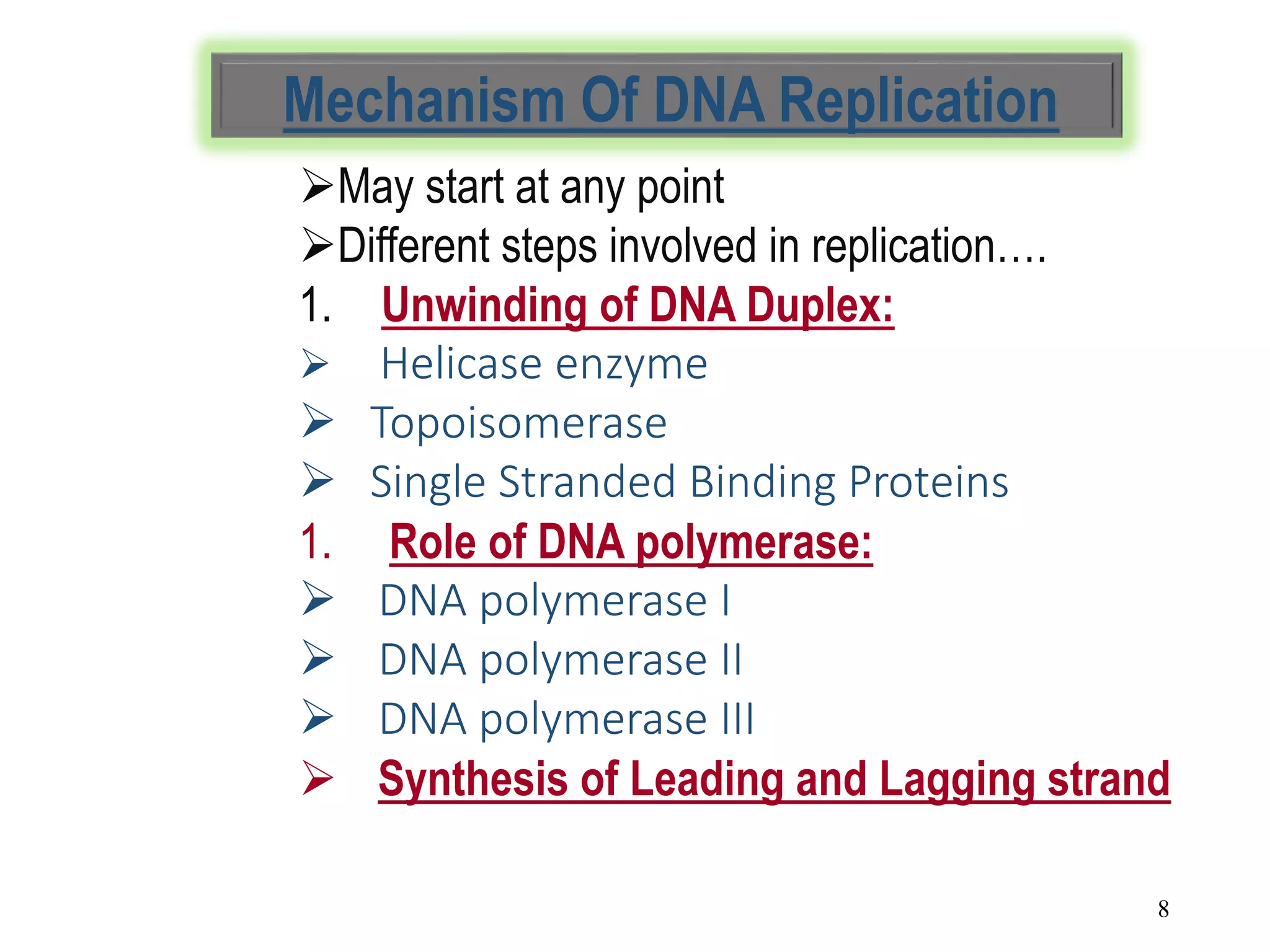 Dna replication in eukaryotes | PPT