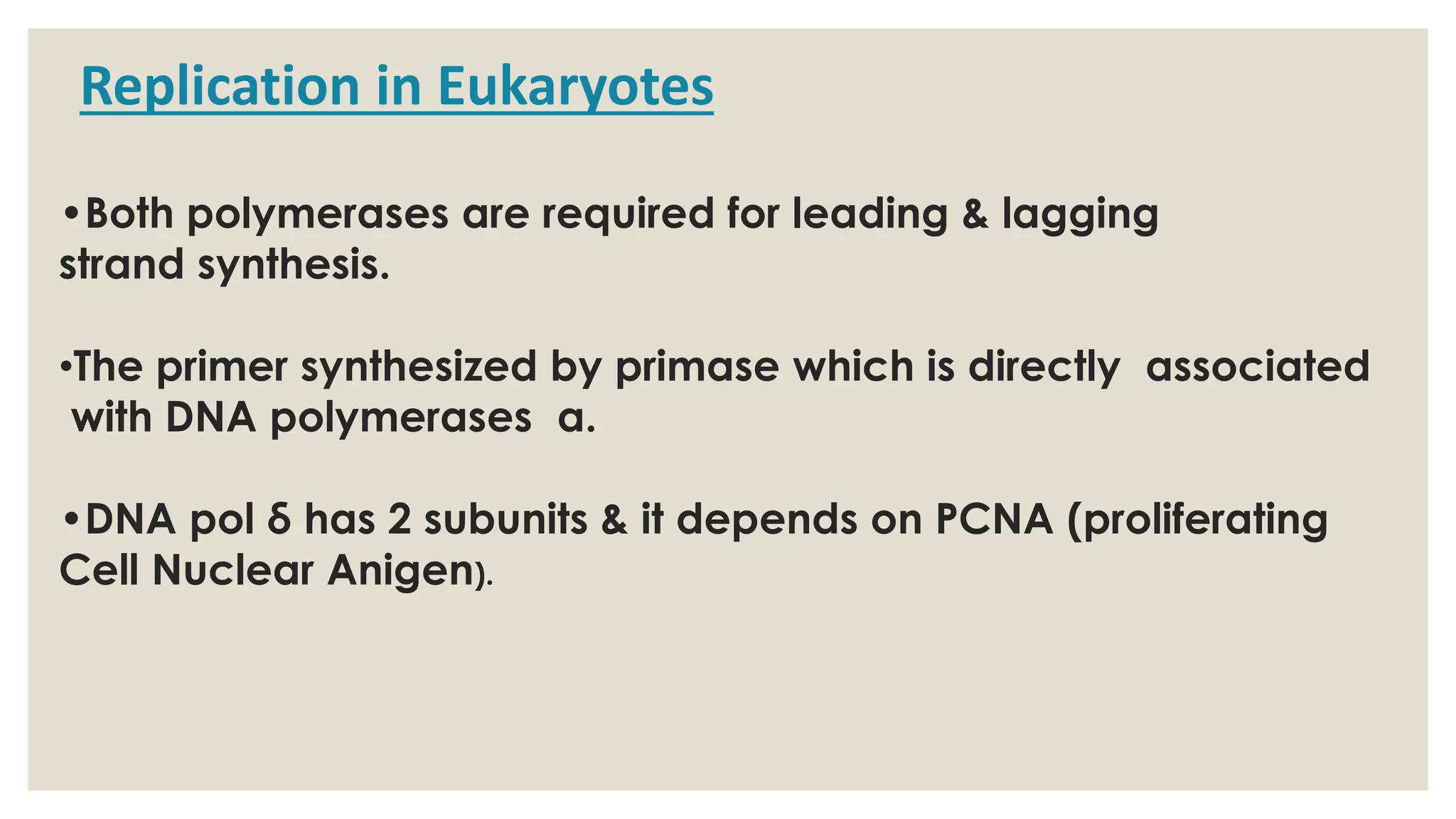 •Both polymerases are required for leading & lagging
strand synthesis.
•The primer synthesized by primase which is directly associated
with DNA polymerases α.
•DNA pol δ has 2 subunits & it depends on PCNA (proliferating
Cell Nuclear Anigen).
Replication in Eukaryotes
 