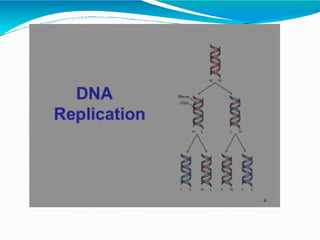 Replication Real Life Example Replication | PPTX