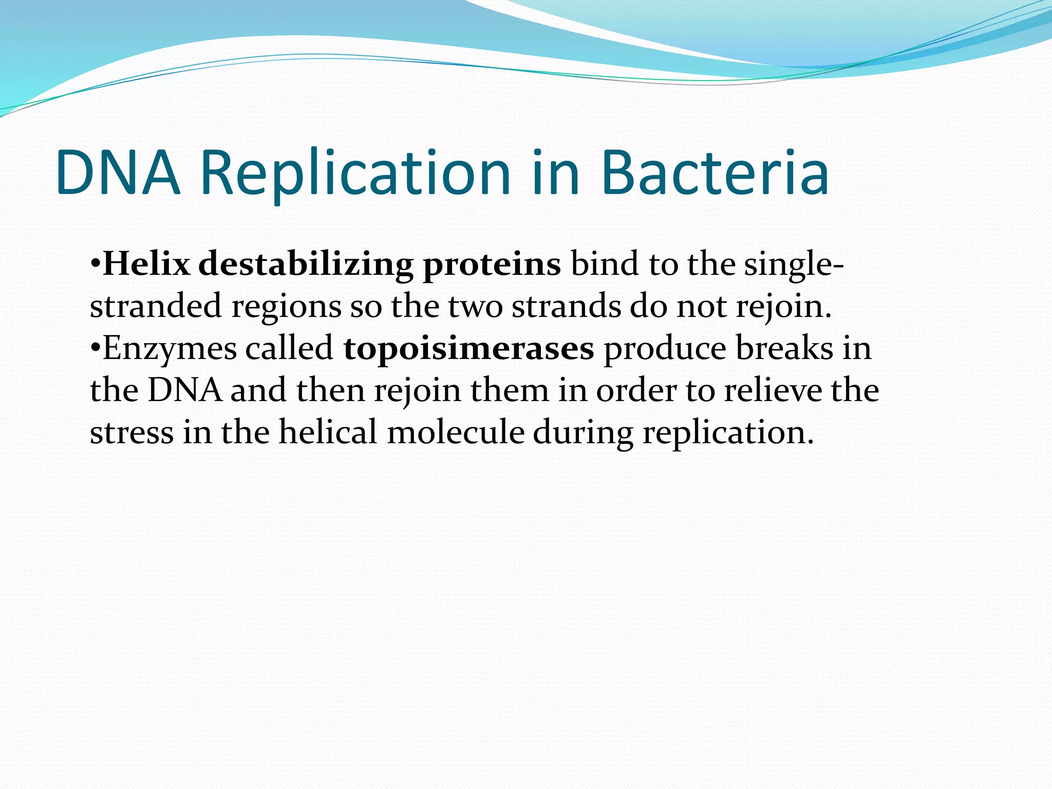 Dna replication in prokaryotes | PPTX