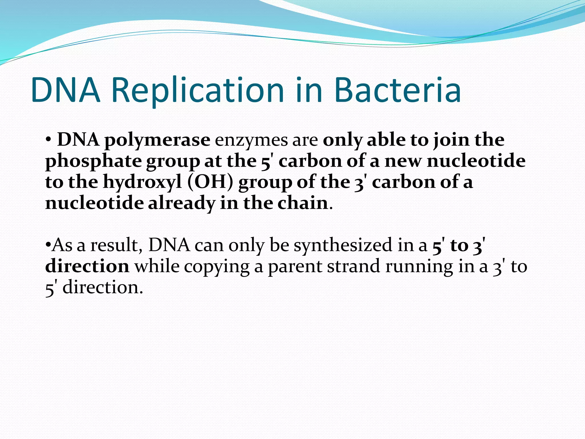 Dna replication in prokaryotes | PPT