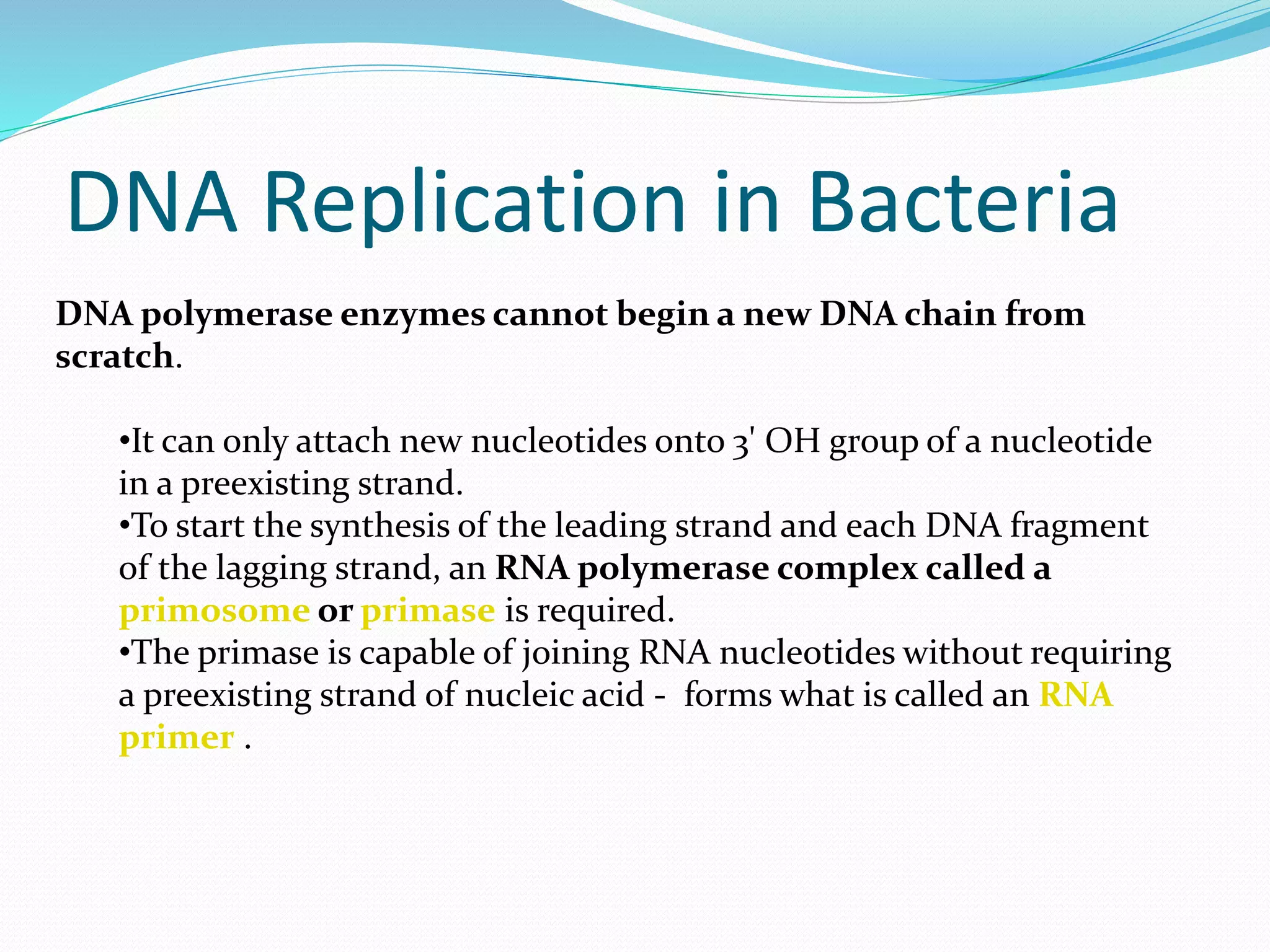 Dna replication in prokaryotes | PPTX