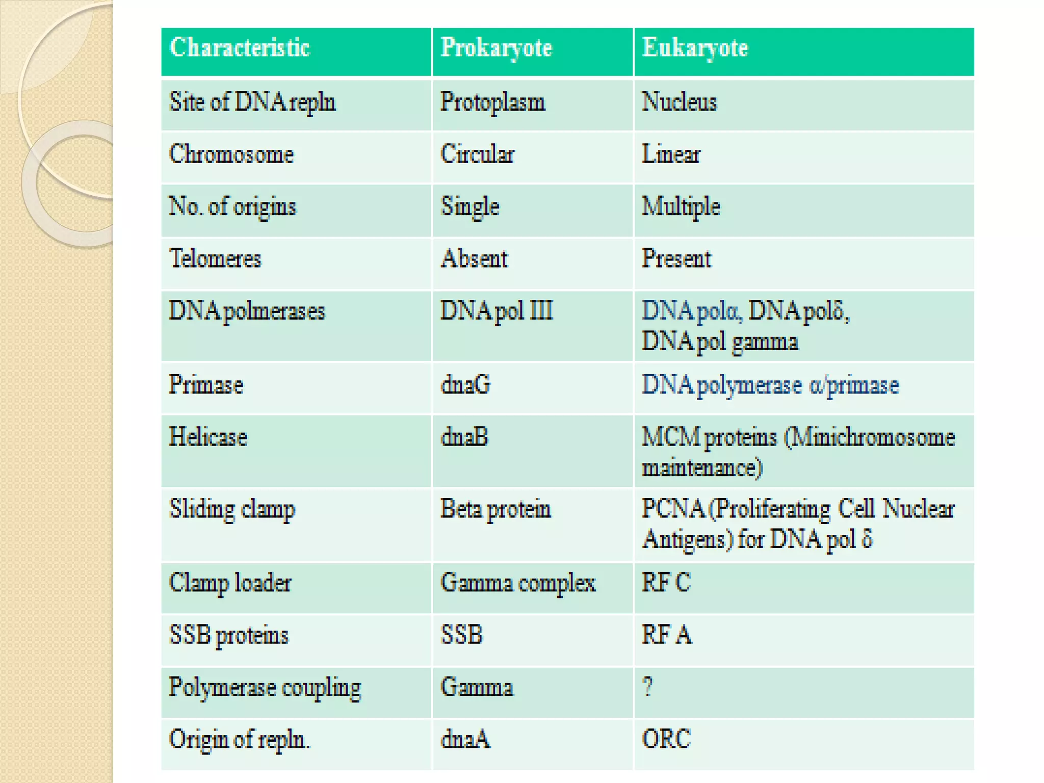Dna replication in prokaryotes | PPTX