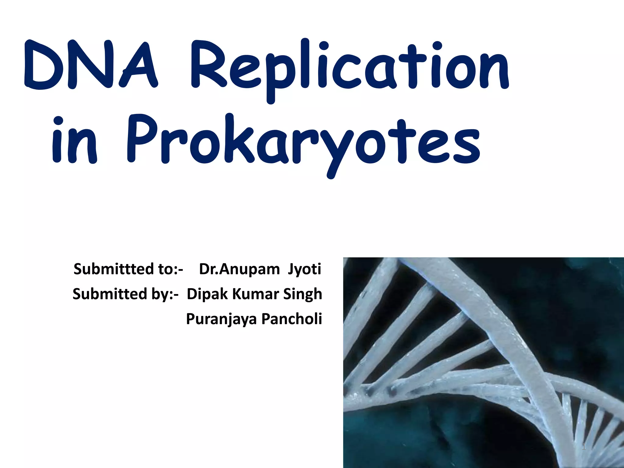 Dna replication in prokaryotes | PPTX