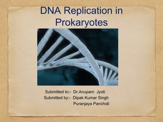 DNA Replication in
Prokaryotes
Submitted to:- Dr.Anupam Jyoti
Submitted by:- Dipak Kumar Singh
Puranjaya Pancholi
 