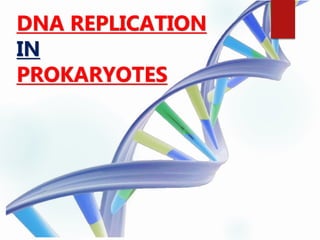 DNA REPLICATION
IN
PROKARYOTES
 