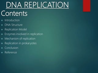 Dna replication in prokaryotes | PPTX