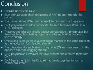 Dna replication in prokaryotes | PPTX