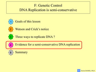 F: Genetic Control
DNA Replication is semi-conservative
1
2
3
4
5
Xavier DANIEL, Ph.D.
A
Goals of this lesson
Watson and Crick’s notice
Three ways to replicate DNA ?
Evidence for a semi-conservative DNA replication
Summary
 