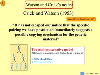 “It has not escaped our notice that the specific
pairing we have postulated immediately suggests a
possible copying mechanism for the genetic
material”
Crick and Watson (1953)
Nobel Prize Medicine1962
Xavier DANIEL, Ph.D.
A
2
Watson and Crick’s notice
The semi-conservative model
After each replication, each double helix is made of
 50% of old DNA
 50% of new DNA
 