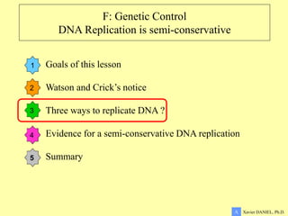 F: Genetic Control
DNA Replication is semi-conservative
1
2
3
4
5
Xavier DANIEL, Ph.D.
A
Goals of this lesson
Watson and Crick’s notice
Three ways to replicate DNA ?
Evidence for a semi-conservative DNA replication
Summary
 