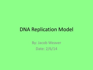 DNA Replication Model
By: Jacob Weaver
Date: 2/6/14

 
